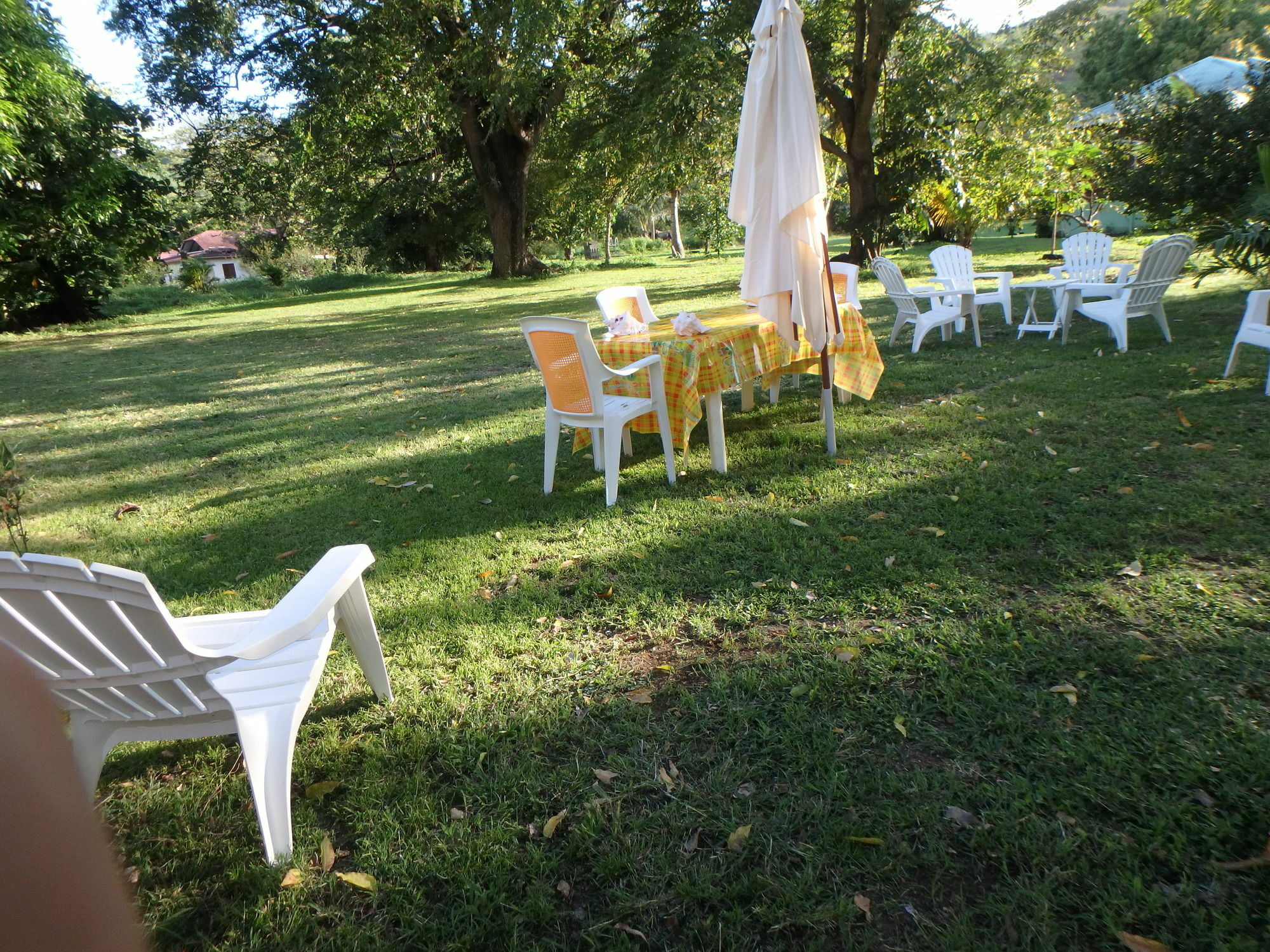 Bungalow Papaye Pointe-Noire Extérieur photo
